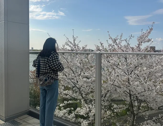 a woman enjoying a fully bloomed cherry blossom tree