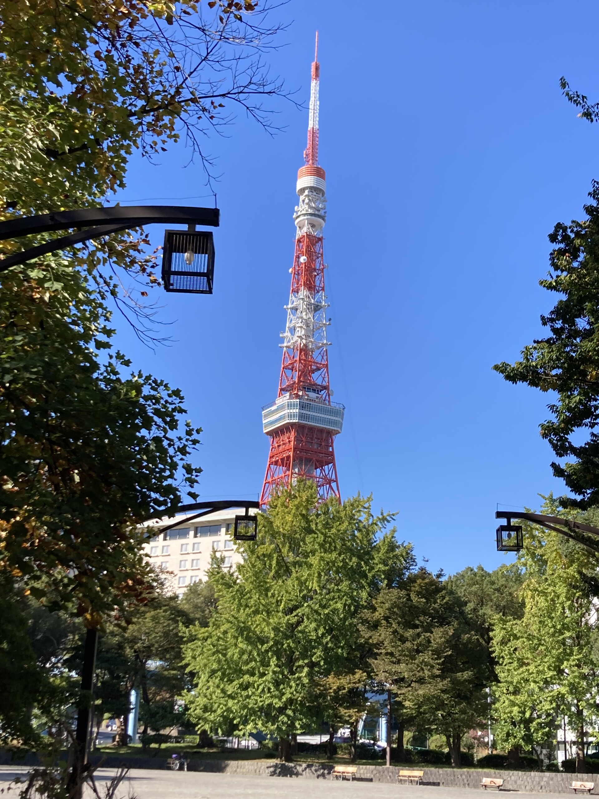 Tokyo Tower viewed from a park on a clear blue day.