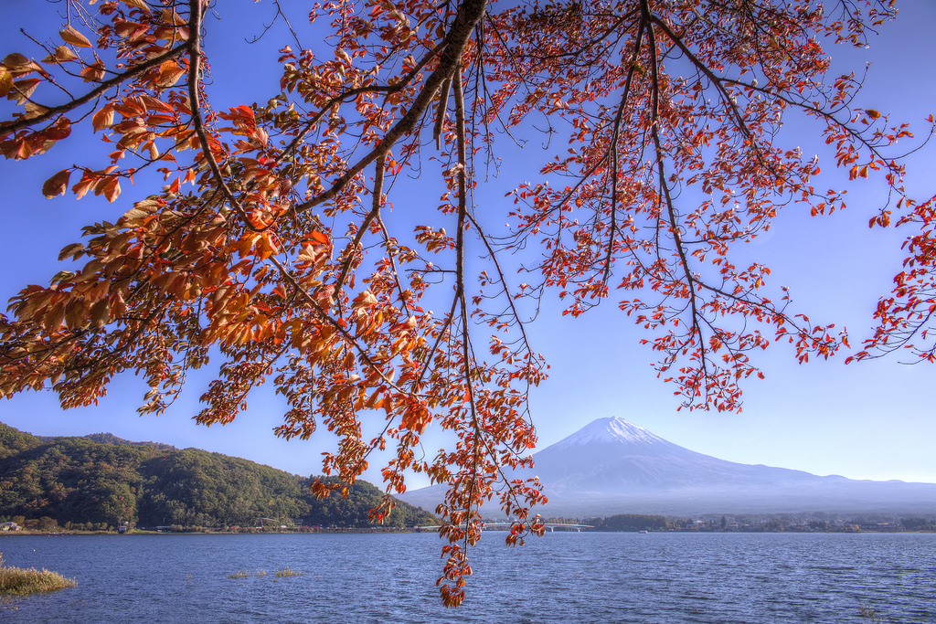 When to travel to Japan