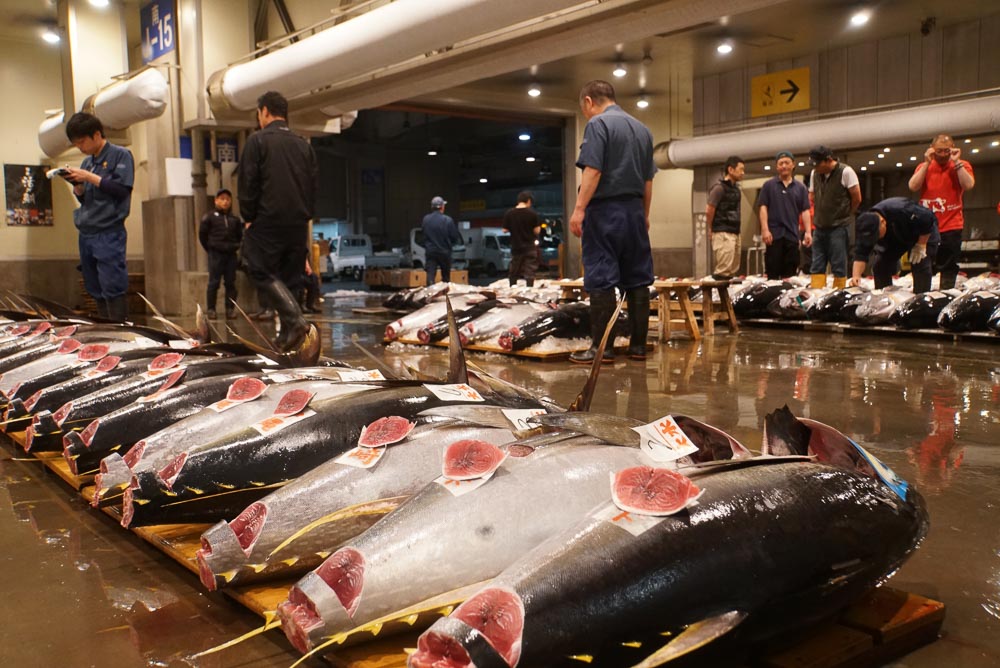 Osaka Central Fish Market