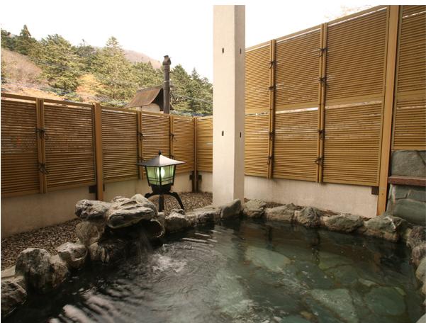 Top 5 Affordable Ryokans Near Tokyo (Part 3)