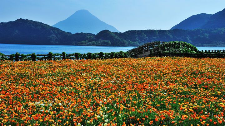 Spring in Japan (Part 4)