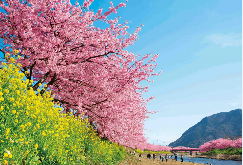 Spring in Japan