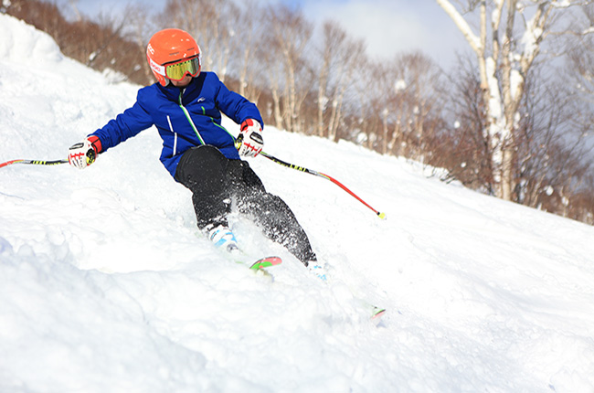 Niseko Ski Village Skiing Lessons Part Two